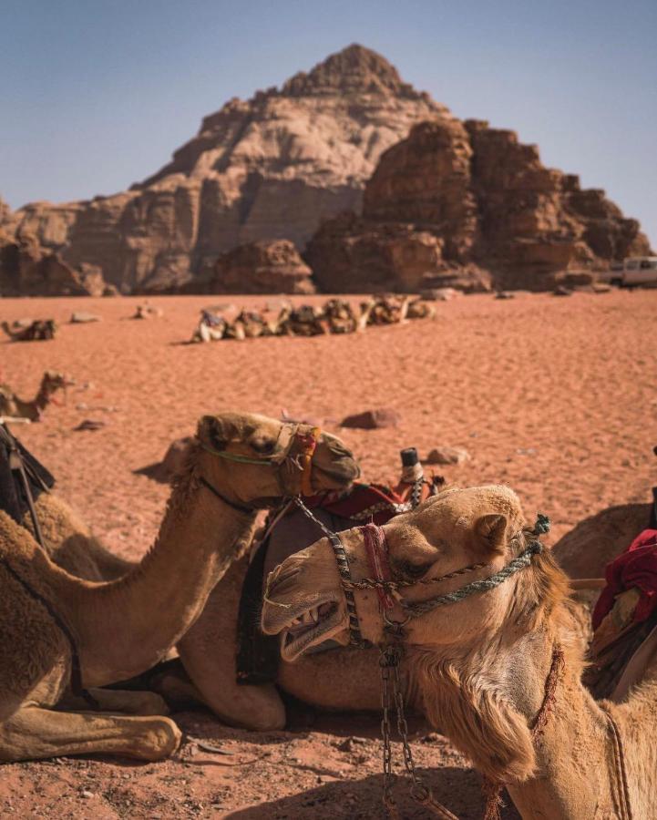 Appartamento Sun Luxury Camp &Tour Wadi Rum Esterno foto